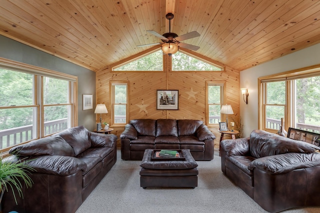 6494 Peppin Ln NE, Outing, MN 56662 - photo 21