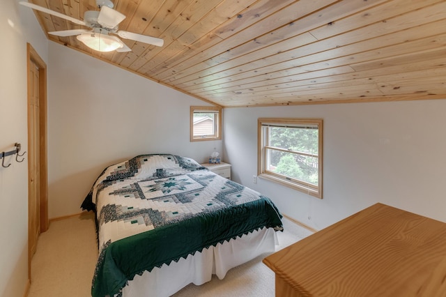 6494 Peppin Ln NE, Outing, MN 56662 - photo 32