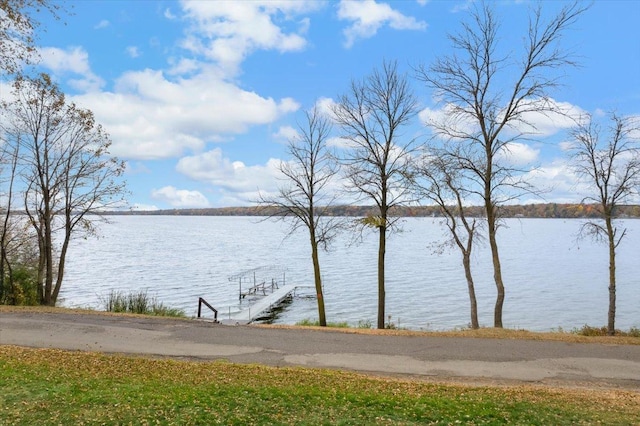 property view of water with a dock