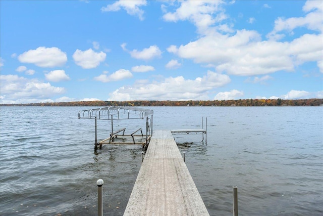 dock area with a water view