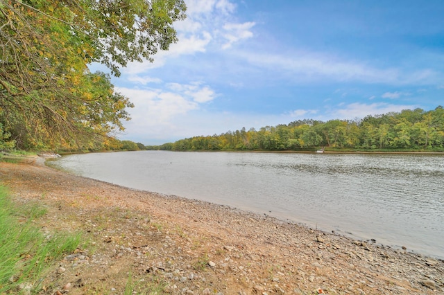 water view featuring a wooded view