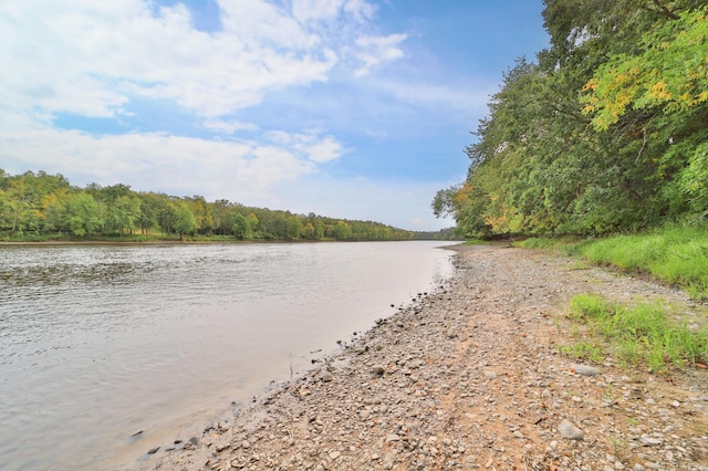property view of water with a wooded view