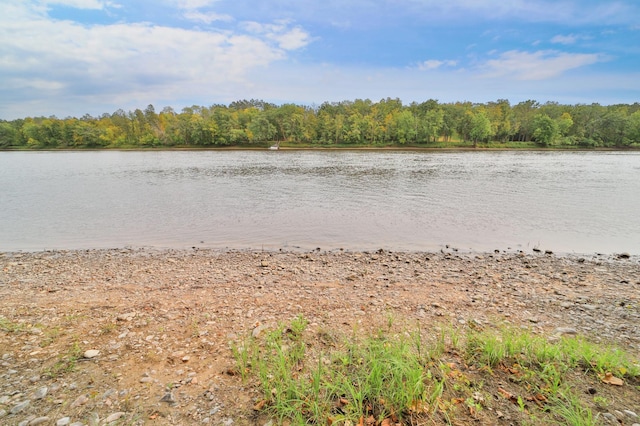 property view of water featuring a wooded view