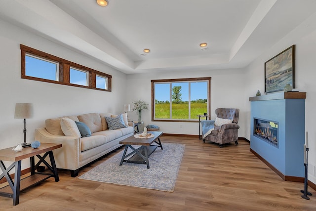 living room with light wood-type flooring and a raised ceiling