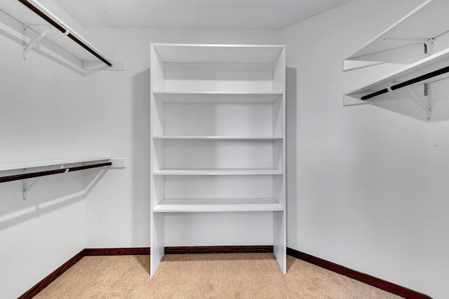 walk in closet with light colored carpet