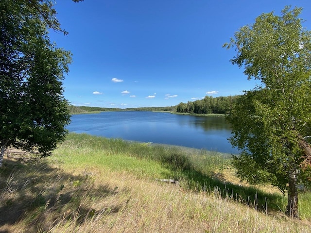 49954 209th Ave, Clearbrook, MN 56634