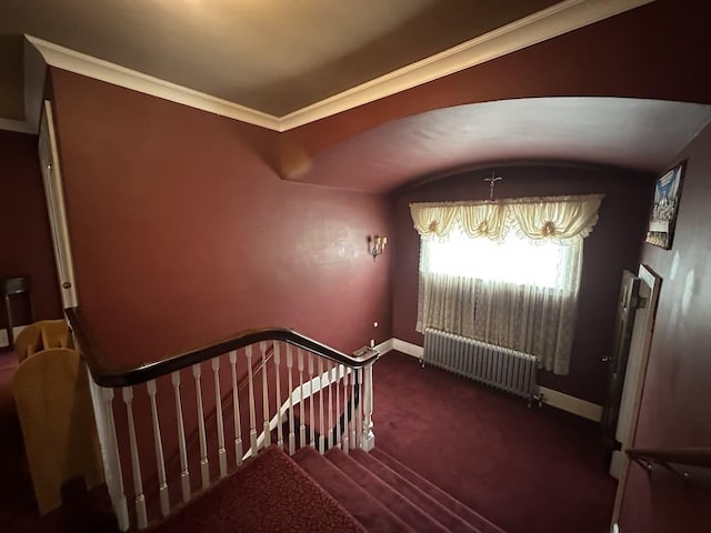 stairs featuring ornamental molding, carpet flooring, and radiator heating unit