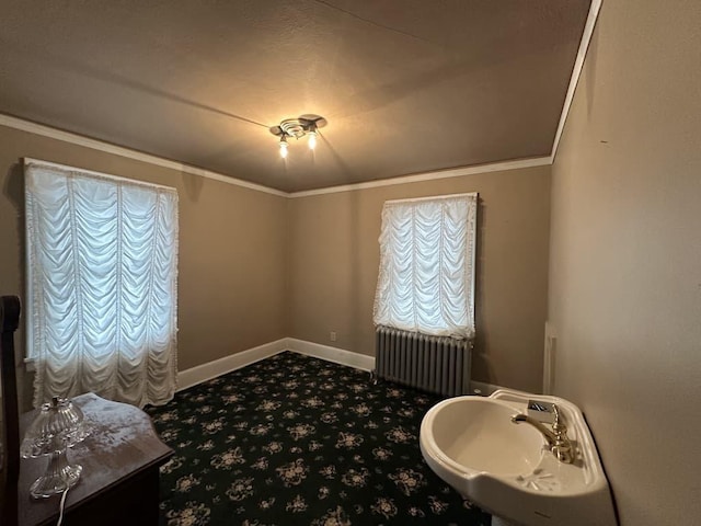 interior space featuring ornamental molding, sink, and radiator heating unit