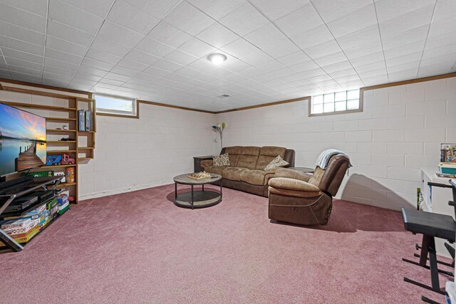 3234 14th Ave, Owatonna, MN 55060 - living room featuring concrete block wall and carpet floors