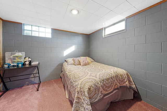 3234 14th Ave, Owatonna, MN 55060 - carpeted bedroom featuring multiple windows