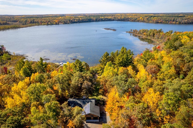 birds eye view of property featuring a water view and a view of trees