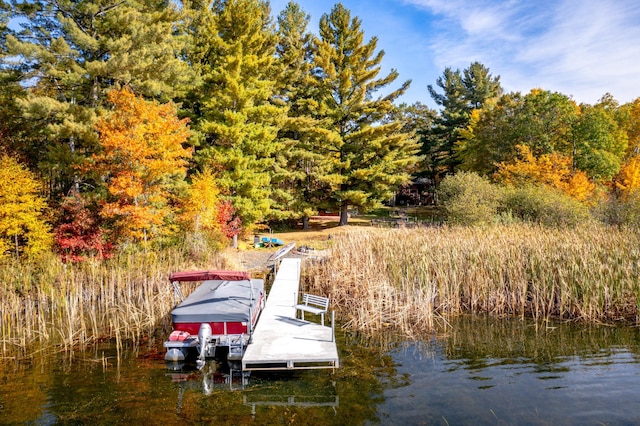 dock area featuring a water view and a view of trees