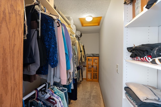 walk in closet with carpet and attic access