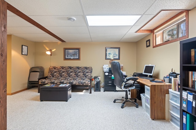 office space featuring baseboards, light colored carpet, and a drop ceiling