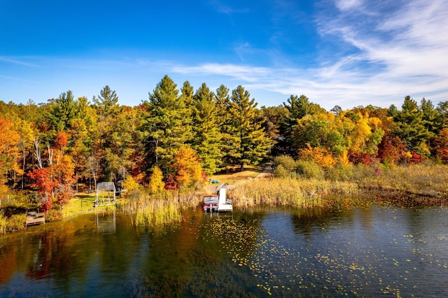 view of water feature with a forest view and a dock