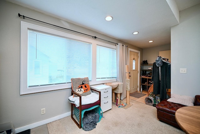 sitting room with light carpet