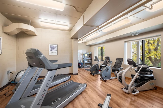 exercise room with hardwood / wood-style flooring