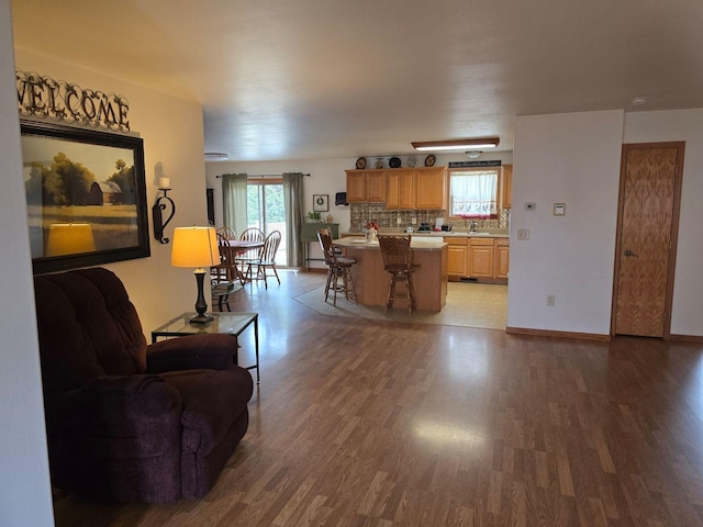 living room featuring hardwood / wood-style flooring and sink