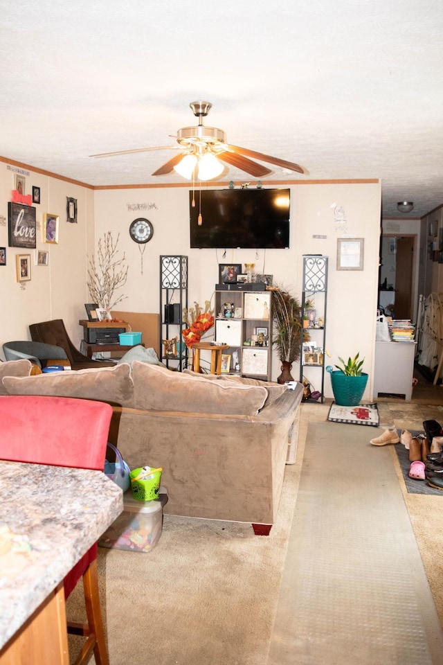 living room with crown molding, carpet floors, and ceiling fan