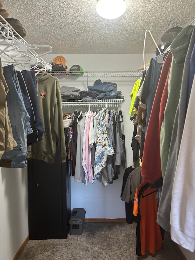 walk in closet featuring carpet floors