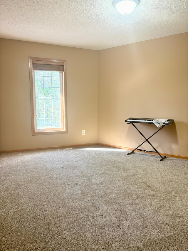 unfurnished room with carpet and a textured ceiling