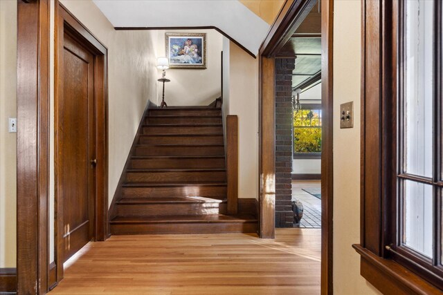 staircase with hardwood / wood-style floors