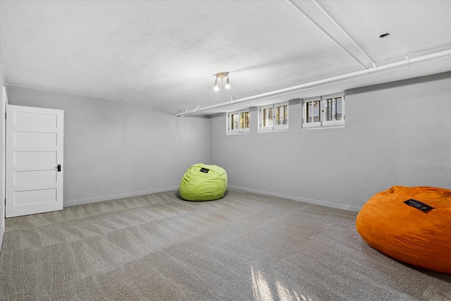 interior space with light colored carpet