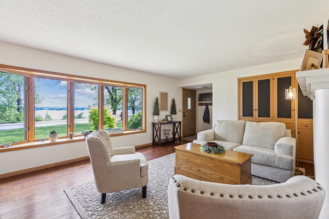 141 Lakeshore Dr, Big Lake, MN 55309 - living area featuring a textured ceiling, wood finished floors, and baseboards