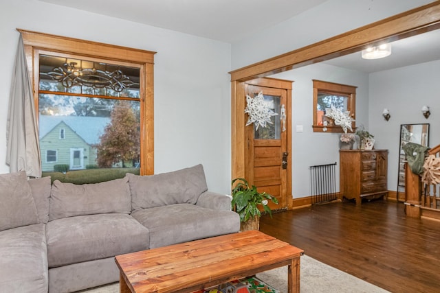 living room with dark wood-type flooring and radiator heating unit