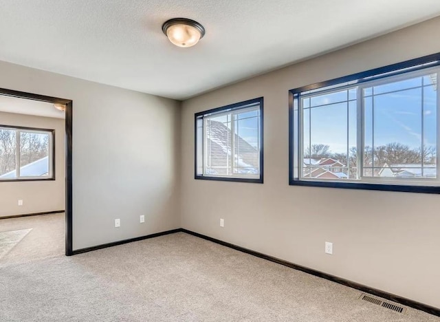 spare room featuring a textured ceiling, light colored carpet, and plenty of natural light