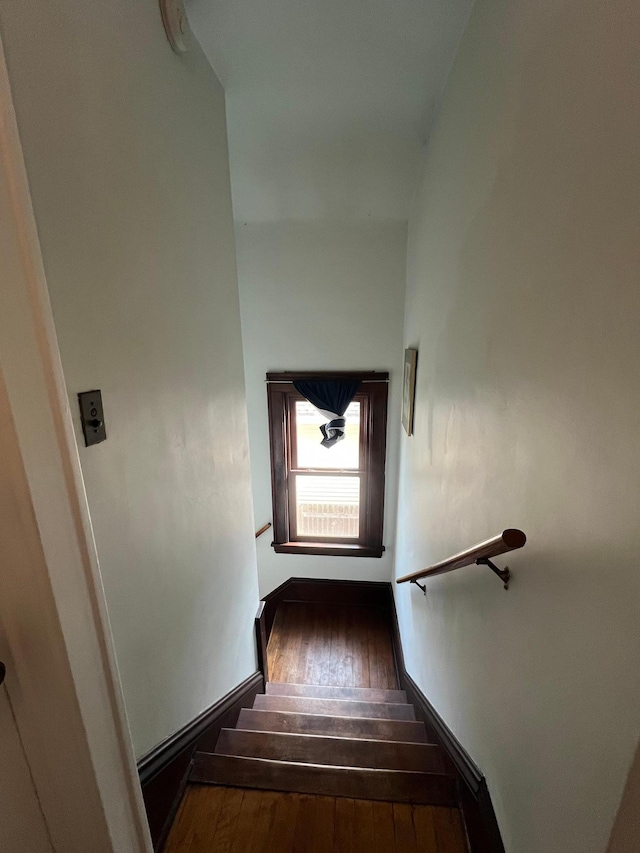 stairway with wood-type flooring