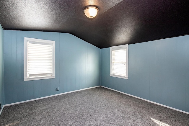 additional living space with carpet flooring, a textured ceiling, a wealth of natural light, and lofted ceiling