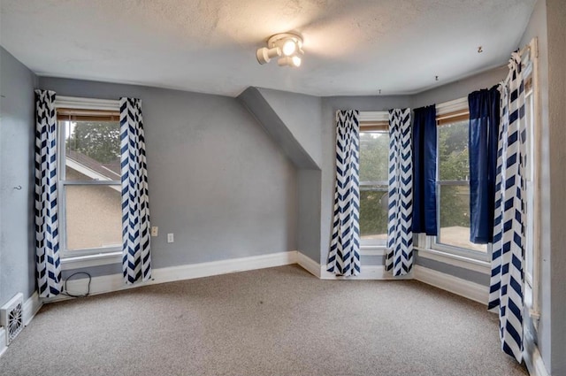 additional living space featuring a textured ceiling and carpet flooring