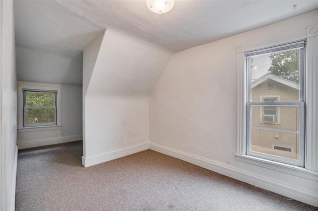 additional living space with vaulted ceiling and carpet flooring