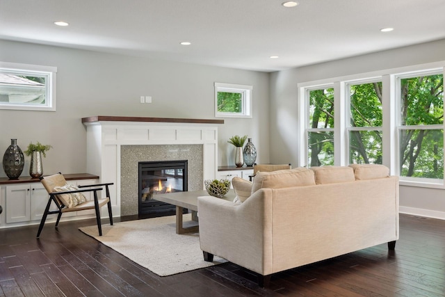 living room with dark wood-type flooring