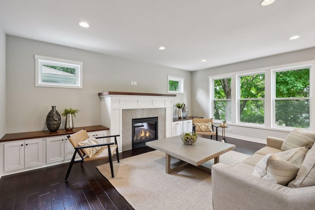 living room featuring dark hardwood / wood-style floors