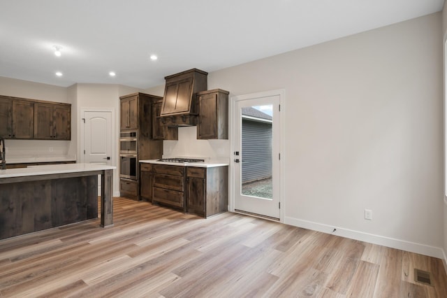 kitchen with light hardwood / wood-style floors, appliances with stainless steel finishes, dark brown cabinets, and custom range hood