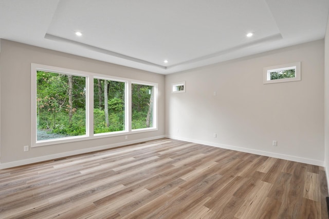 unfurnished room with a wealth of natural light, light hardwood / wood-style flooring, and a tray ceiling