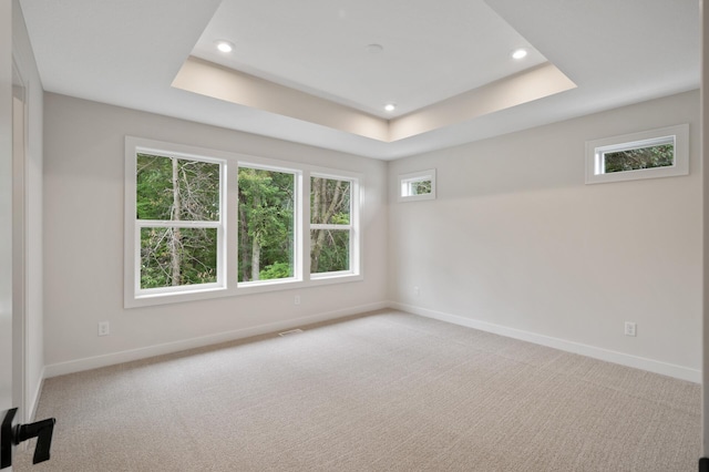 carpeted spare room featuring a raised ceiling