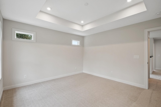 carpeted spare room featuring a healthy amount of sunlight and a raised ceiling