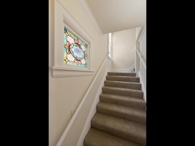 staircase featuring ornamental molding