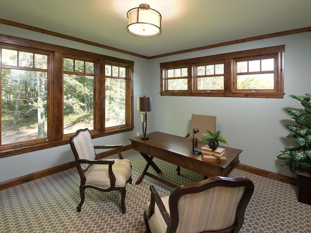 office featuring crown molding and carpet flooring