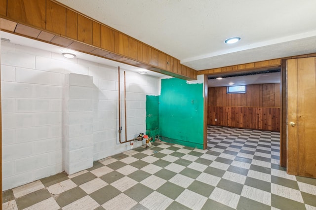 basement with wood walls