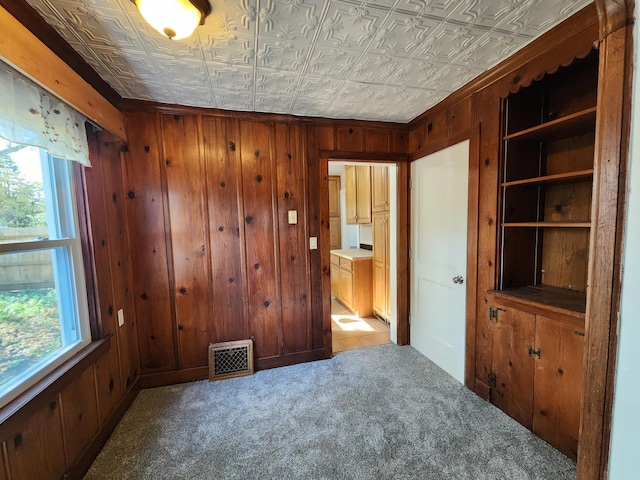 spare room featuring light colored carpet, a wealth of natural light, and wooden walls