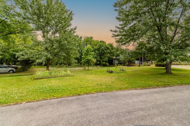 view of property's community with a yard