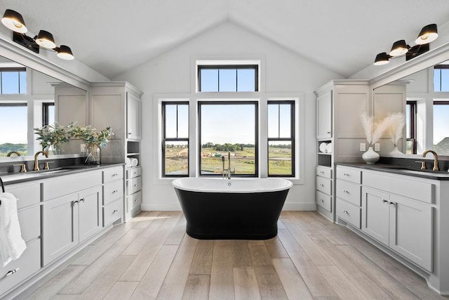 bathroom with a bath, wood-type flooring, and vanity