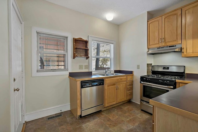 kitchen with exhaust hood, sink, light brown cabinetry, appliances with stainless steel finishes, and a textured ceiling