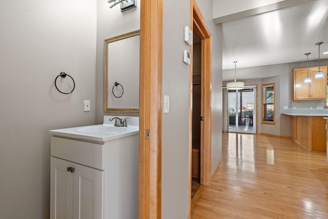 bathroom featuring backsplash, vanity, and hardwood / wood-style flooring