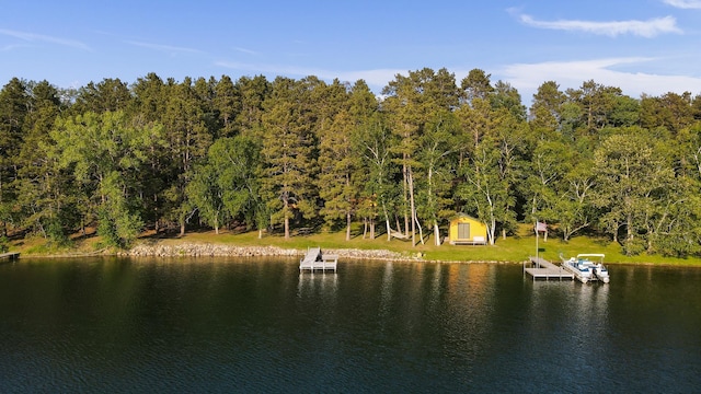 34779 County Road 39, Pequot Lakes, MN 56472 - water view featuring a heavily wooded area and a boat dock
