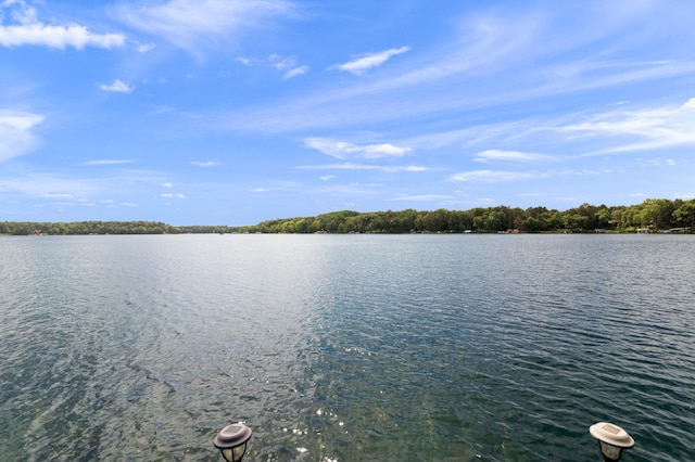 34779 County Road 39, Pequot Lakes, MN 56472 - water view
